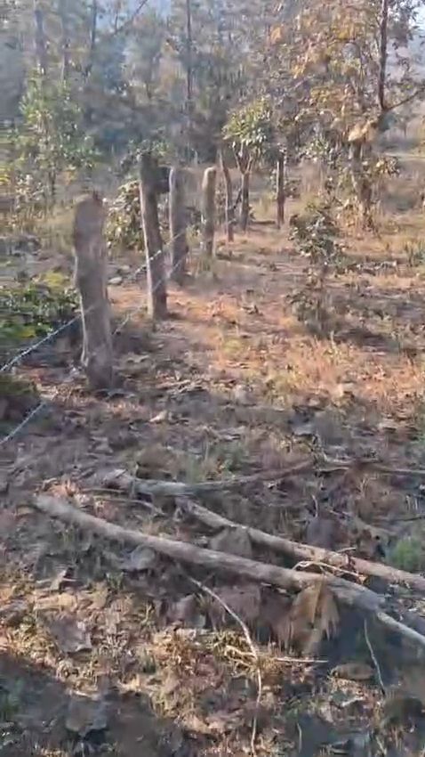 vid-20260218-wa011534608575468155236805.jpg